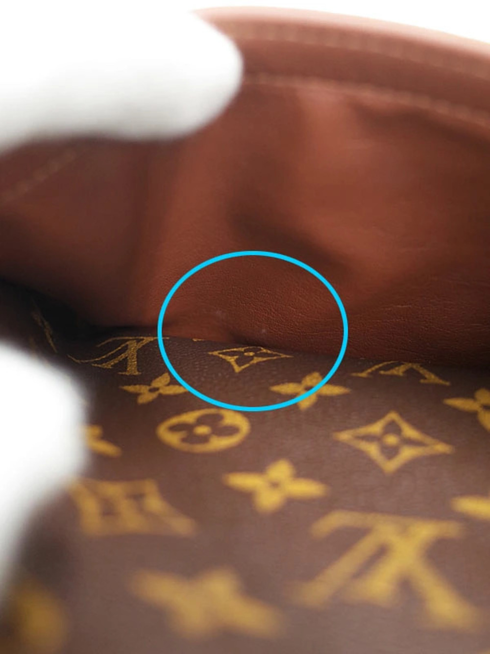 Louis Vuitton Monogram Blois Shoulder Bag - Picture 4 of 9